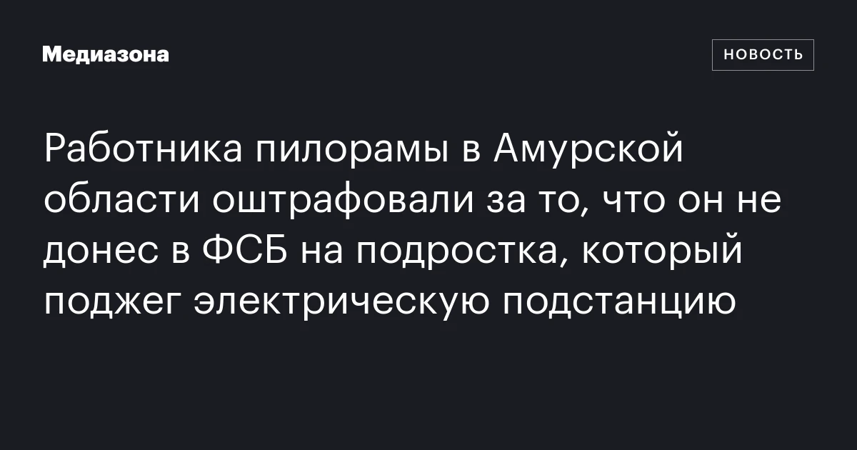 Работника пилорамы в Амурской области оштрафовали за то, что