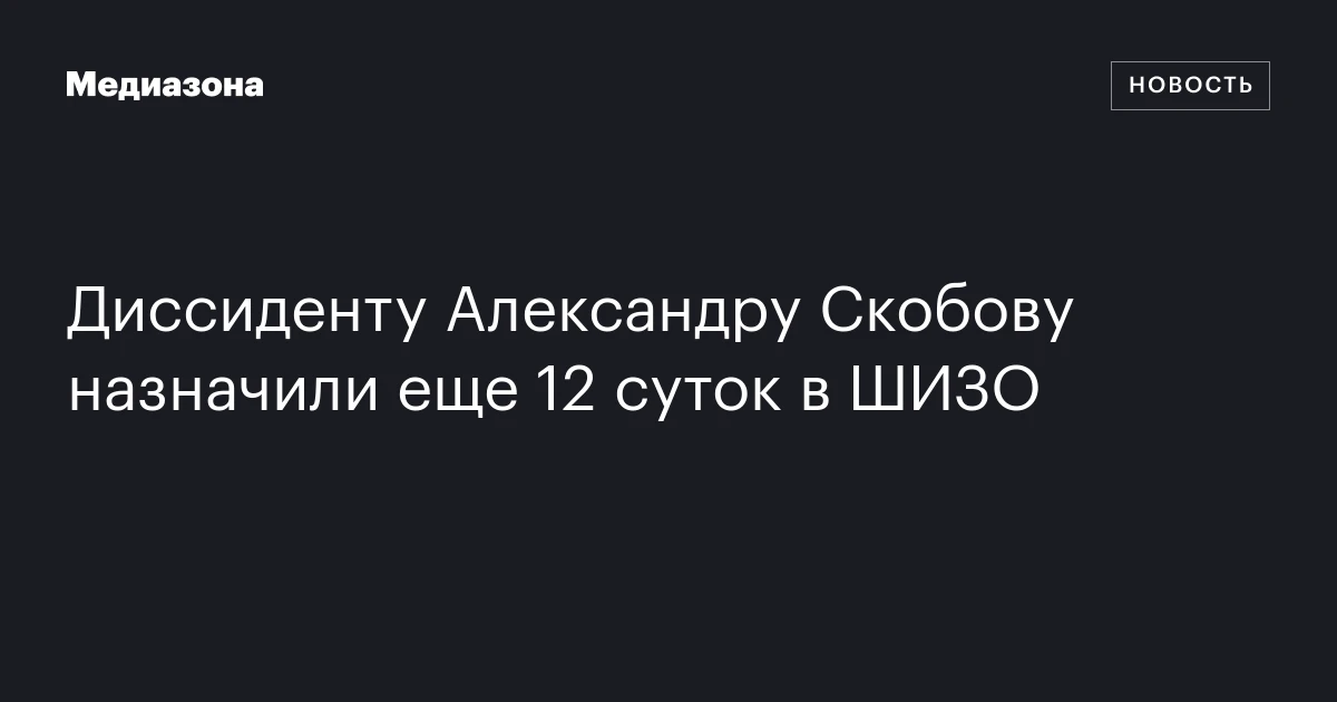 Диссиденту Александру Скобову назначили еще 12 суток в ШИЗО