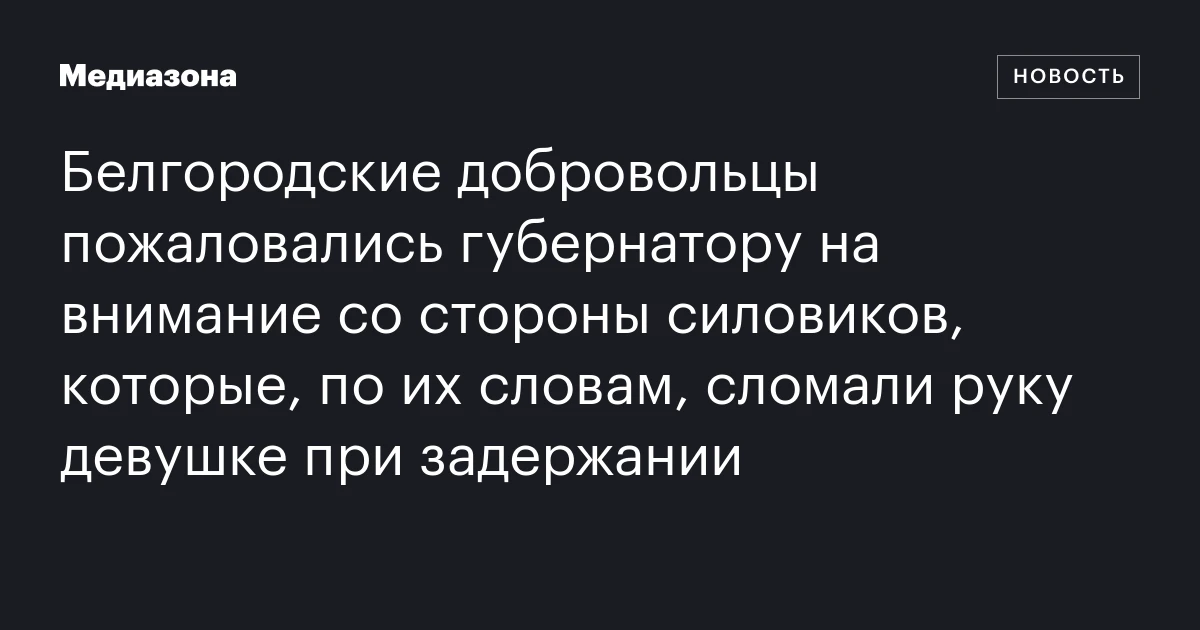 Белгородские добровольцы пожаловались губернатору на внимание со стороны силовиков, которые, по их словам, сломали руку девушке при задержании