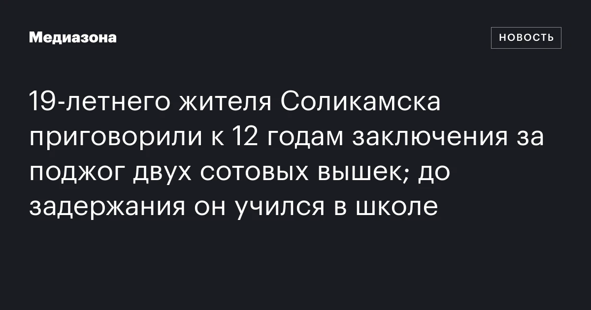 19‑летнего жителя Соликамска приговорили к 12 годам заключения за поджог двух сотовых вышек; до задержания он учился в школе