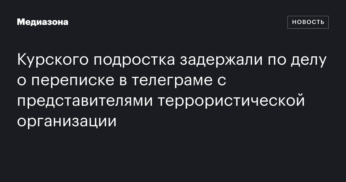 Курского подростка задержали по делу о переписке в телеграме с представителями террористической организации