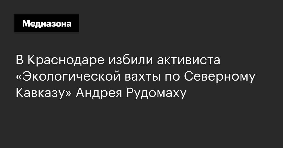 В краснодаре избили активиста «экологической вахты по северному кавказу» андрея рудомаху