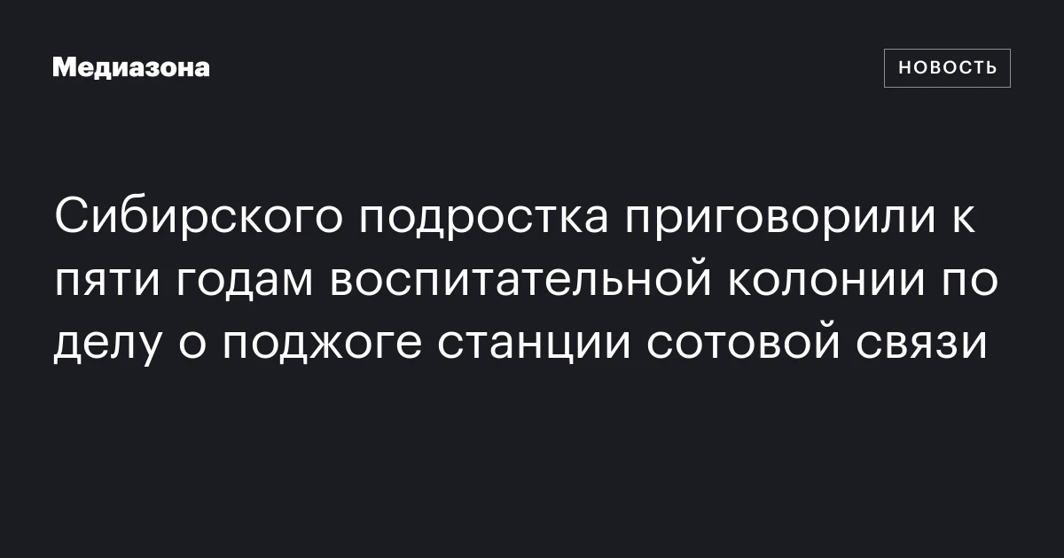 Сибирского подростка приговорили к пяти годам воспитательной колонии по делу о поджоге станции сотовой связи