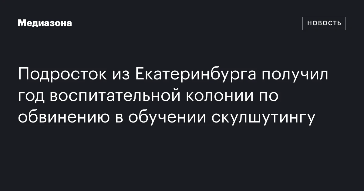 Подросток из Екатеринбурга получил год воспитательной колонии по обвинению в обучении скулшутингу