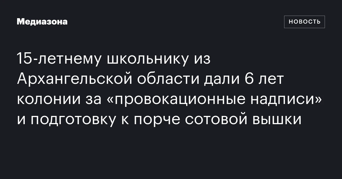 15‑летнему школьнику из Архангельской области дали 6 лет колонии за «провокационные надписи» и подготовку к порче сотовой вышки