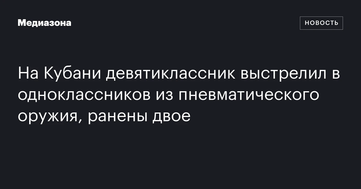 На Кубани девятиклассник выстрелил в одноклассников из пневматического оружия, ранены двое