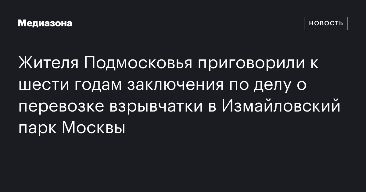 Жителя Подмосковья приговорили к шести годам заключения по делу о перевозке взрывчатки в Измайловский парк Москвы