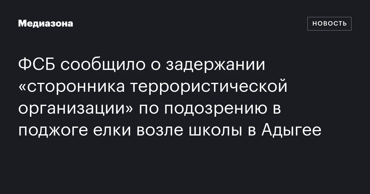 ФСБ сообщило о задержании «сторонника террористической организации» по подозрению в поджоге елки возле школы в Адыгее