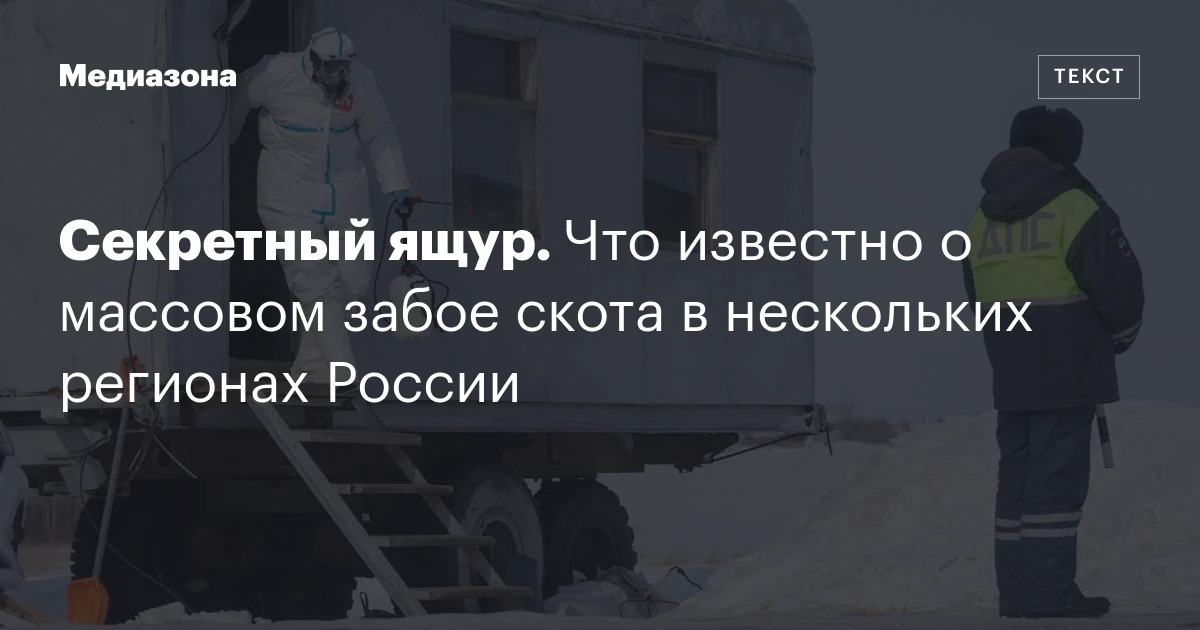 Секретный ящур. Что известно о массовом забое скота в нескольких регионах России