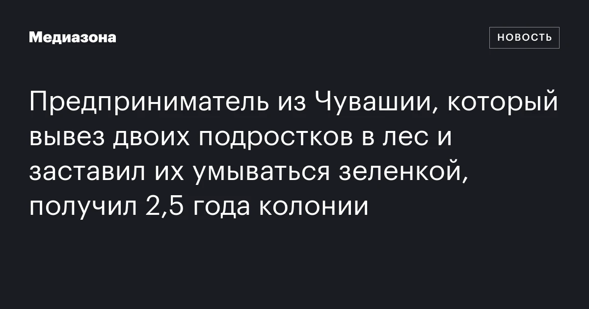 Предприниматель из Чувашии, который вывез двоих подростков в лес и заставил их умываться зеленкой, получил 2,5 года колонии