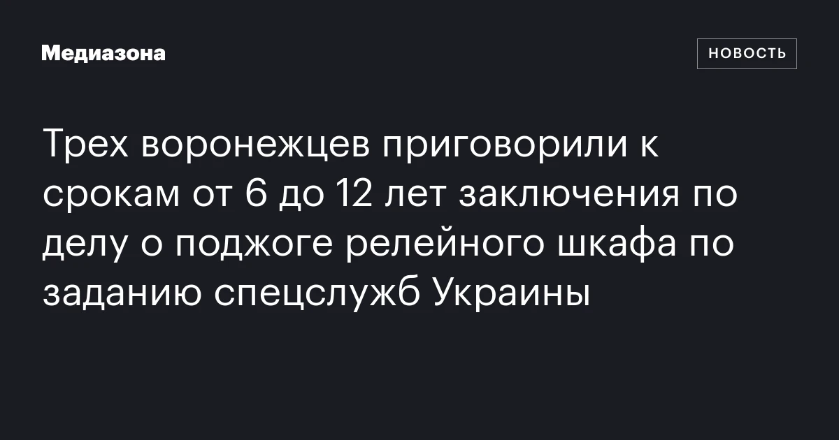 Трех воронежцев приговорили к срокам от 6 до 12 лет заключения по делу о поджоге релейного шкафа по заданию спецслужб Украины