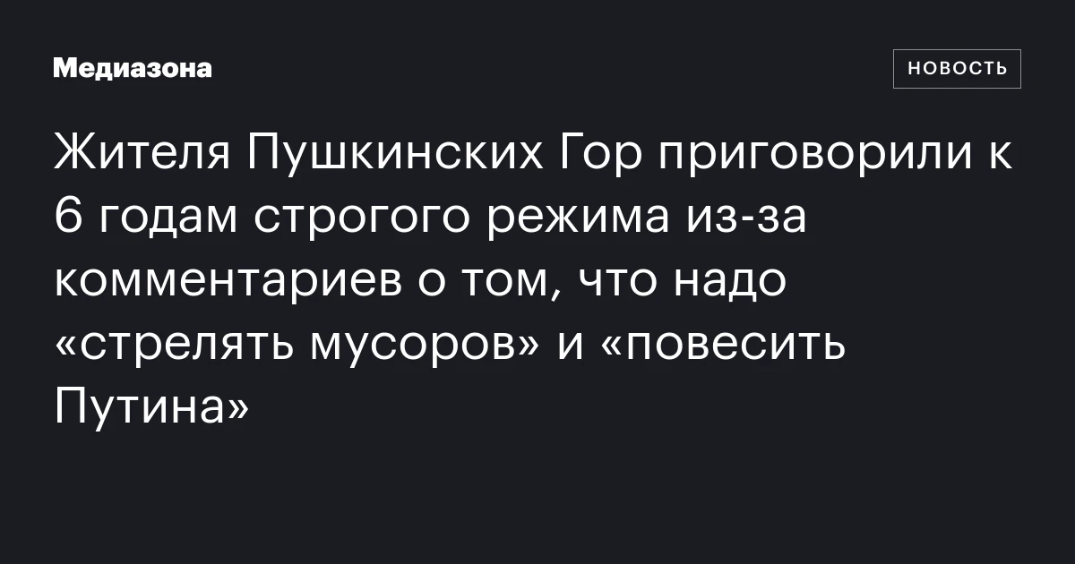 Жителя Пушкинских Гор приговорили к 6 годам строгого режима из‑за комментариев о том, что надо «стрелять мусоров» и «повесить Путина»