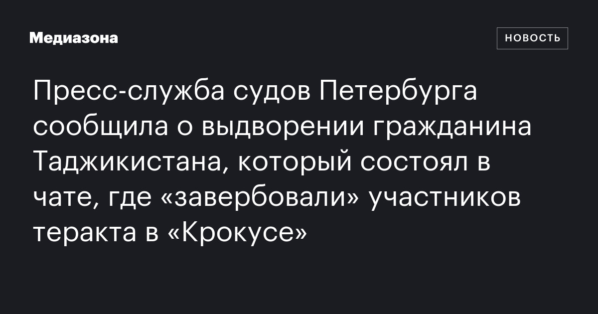 Пресс-служба судов Петербурга сообщила о выдворении гражданина Таджикистана, который состоял в чате, где «завербовали» участников теракта в «Крокусе»