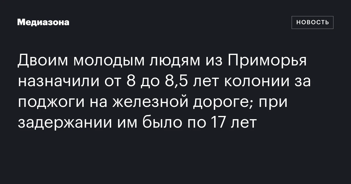 Двоим молодым людям из Приморья назначили от 8 до 8,5 лет колонии за поджоги на железной дороге; при задержании им было по 17 лет