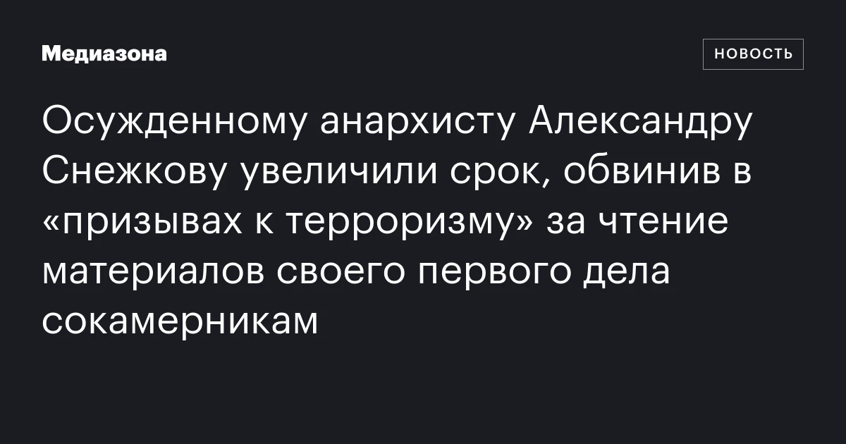 Осужденному анархисту Александру Снежкову увеличили срок, обвинив в «призывах к терроризму» за чтение материалов своего первого дела сокамерникам