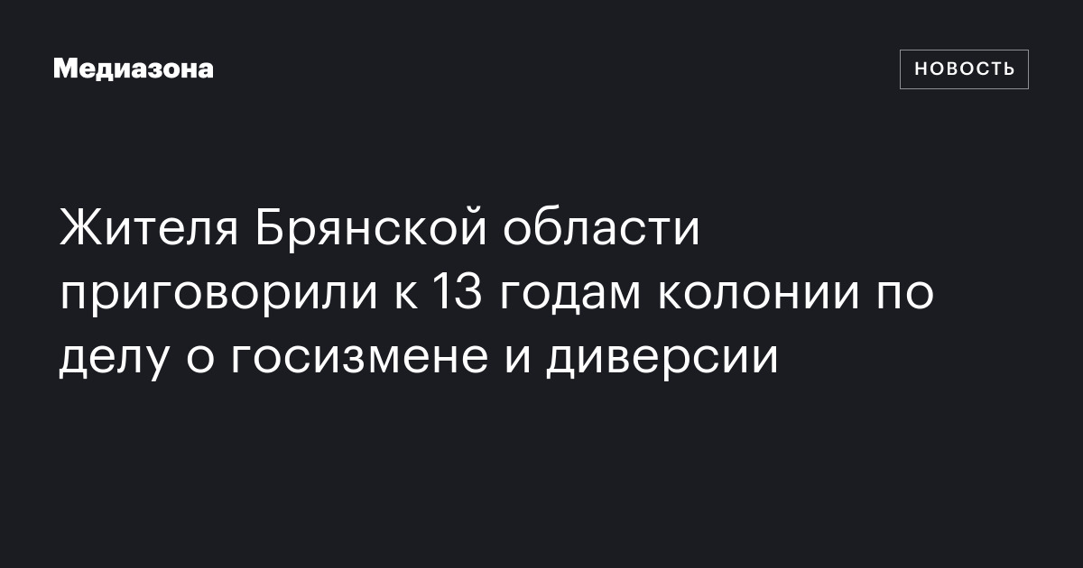 Жителя Брянской области приговорили к 13 годам колонии по делу о ...