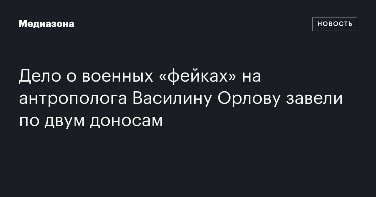 Дело о военных «фейках» на антрополога Василину Орлову завели по двум доносам
