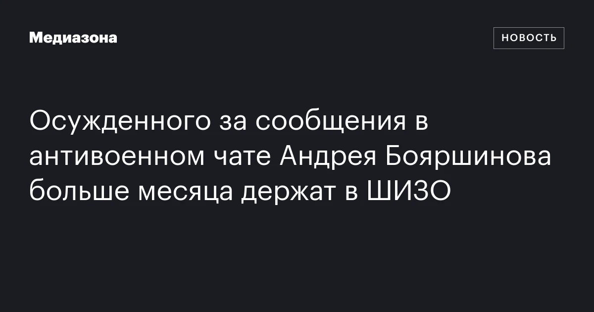 Осужденного за сообщения в антивоенном чате Андрея Бояршинова больше месяца держат в ШИЗО