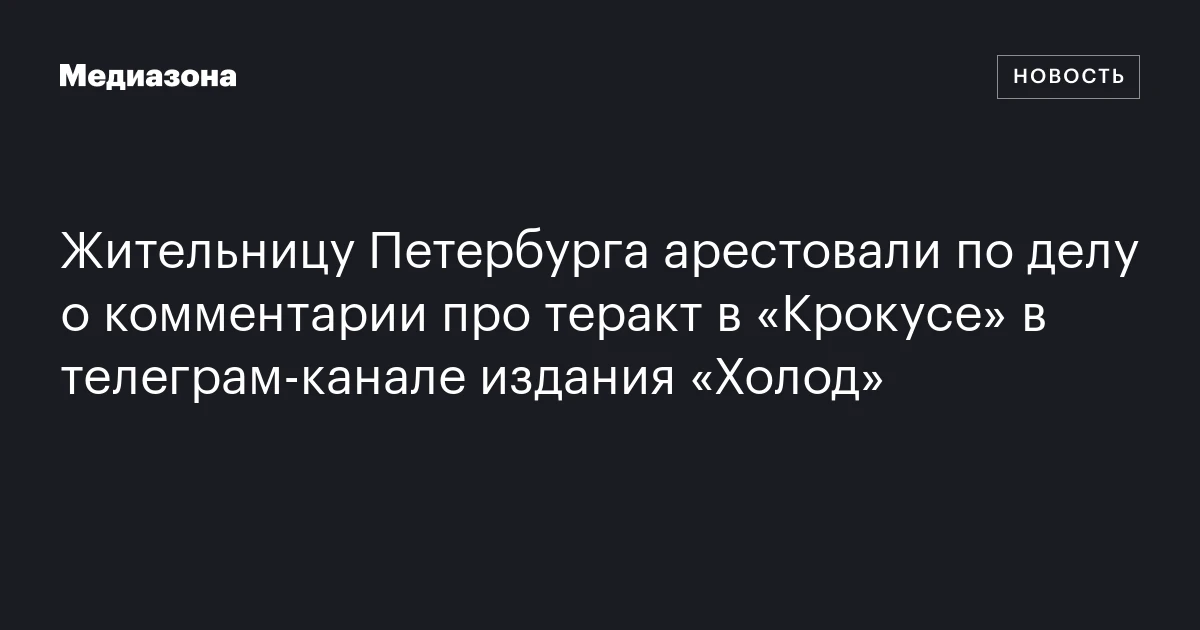 Жительницу Петербурга арестовали по делу о комментарии про теракт в «Крокусе» в телеграм‑канале издания «Холод»
