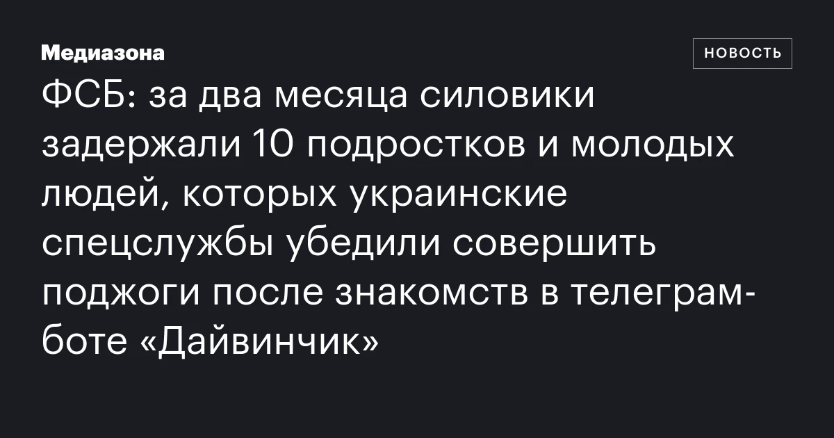 ФСБ: за два месяца силовики задержали 10 подростков и молодых людей, которых украинские спецслужбы убедили совершить поджоги после знакомств в телеграм‑боте «Дайвинчик»