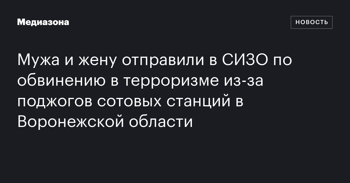 Мужа и жену отправили в СИЗО по обвинению в терроризме из‑за поджогов сотовых станций в Воронежской области