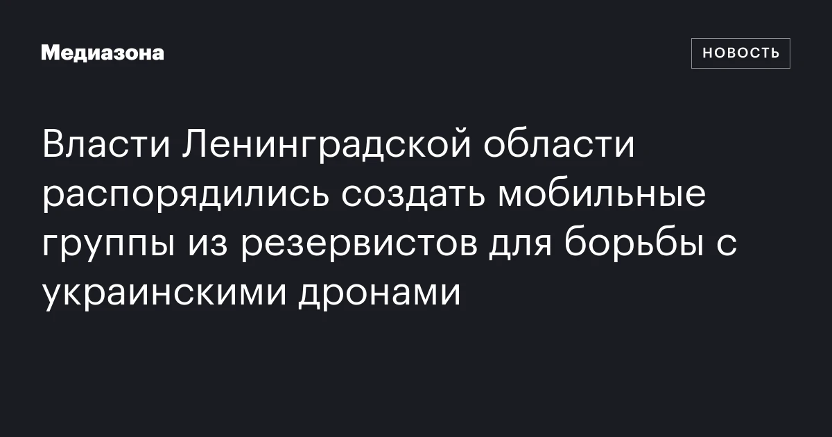 Власти Ленинградской области распорядились создать мобильные группы из резервистов для борьбы с украинскими дронами