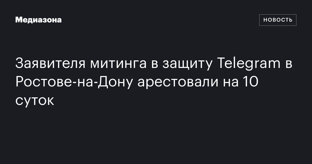 Заявителя митинга в защиту Telegram в Ростове‑на‑Дону арестовали на 10 суток