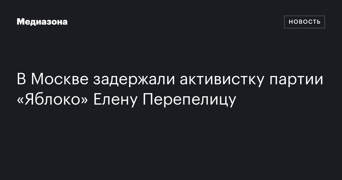 В Москве задержали активистку партии «Яблоко» Елену Перепелицу