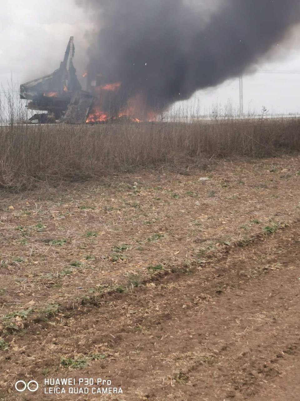 Голое тело девочки в поле