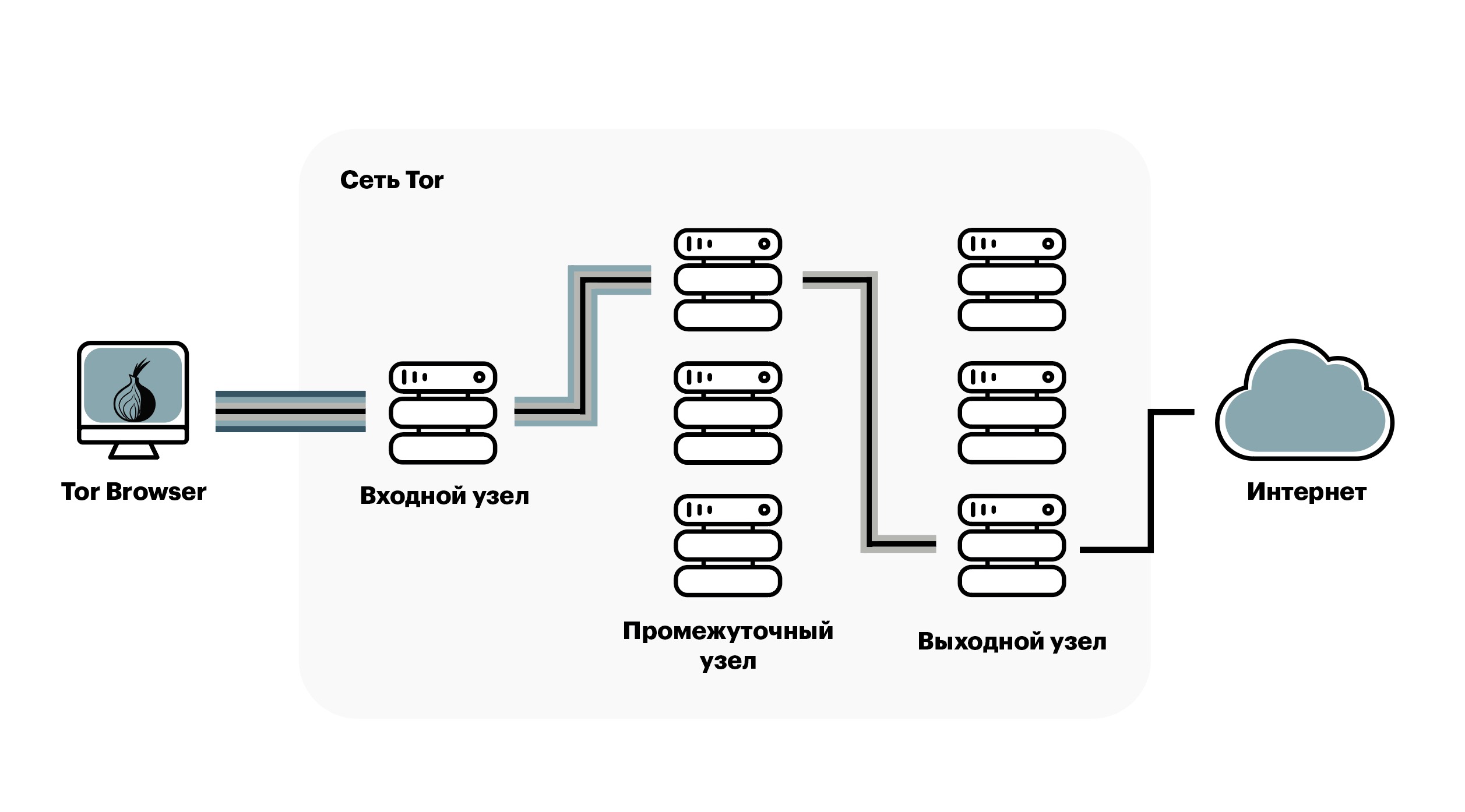 Банхаммер Тора. Как Россия решила победить даркнет