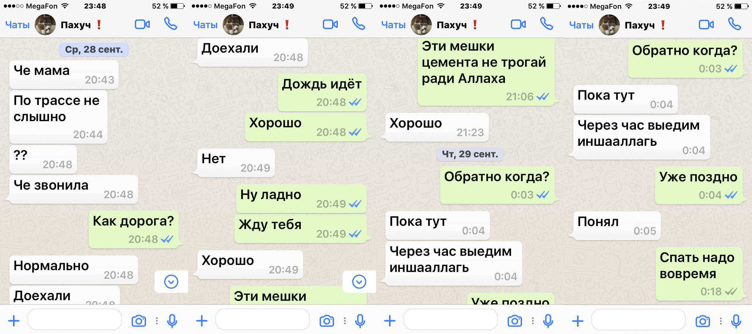 Последняя переписка Бурлият Махаевой в WhatsApp с сыном Пахрудином.