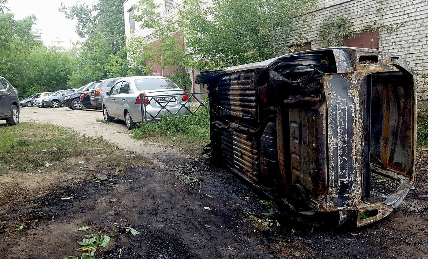 Выруби его полностью! Зажигательная смесь против защитников леса в  подмосковном Жуковском