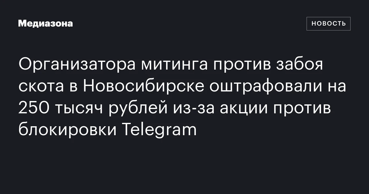 Организатора митинга против забоя скота в Новосибирске оштрафовали на 250 тысяч рублей из‑за акции против блокировки Telegram