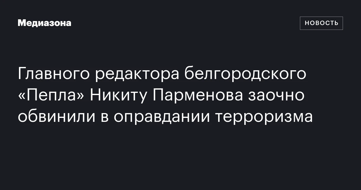 Главного редактора белгородского «Пепла» Никиту Парменова заочно обвинили в оправдании терроризма