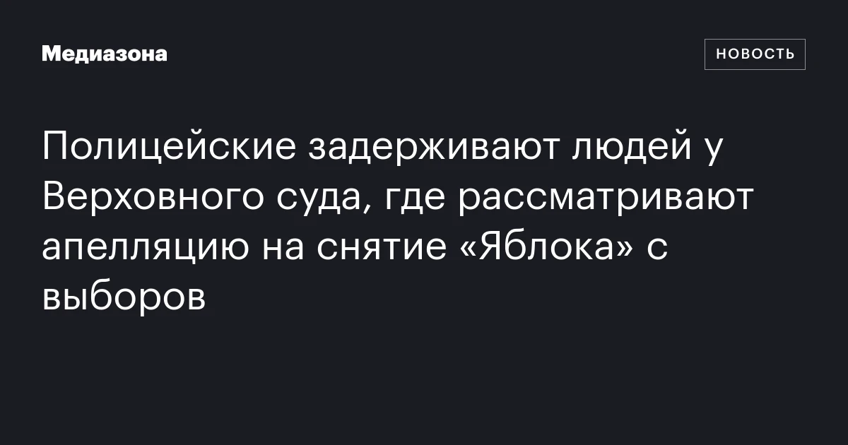 Полицейские задерживают людей у Верховного суда, где рассматривают апелляцию на снятие «Яблока» с выборов