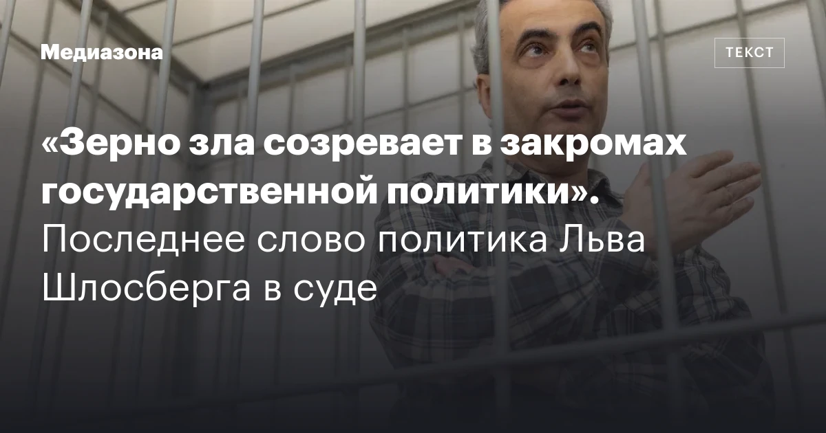«Зерно зла созревает в закромах государственной политики». Последнее слово политика Льва Шлосберга в суде