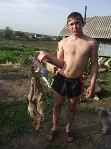 Фото: Погибший на войне с Украиной Крух Александр Владимирович. Новосибирская область, нет данных
